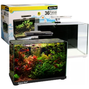 Aqua One Focus Aquarium 36 Litres