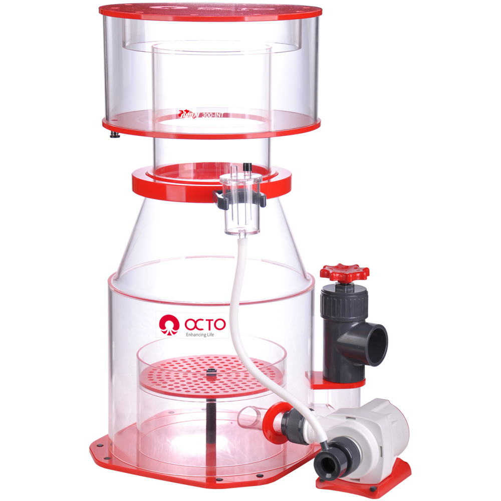 OCTO Regal 300-INT