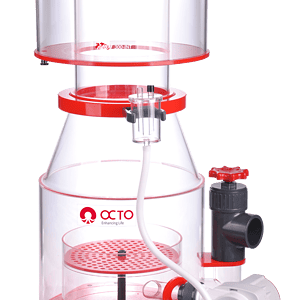 OCTO Regal 300-INT
