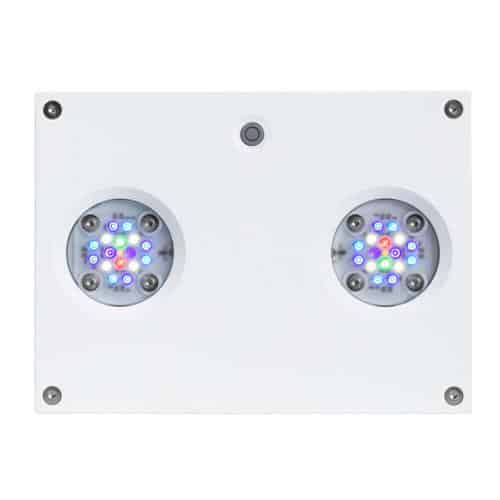 Hydra 32 HD White - Image 2
