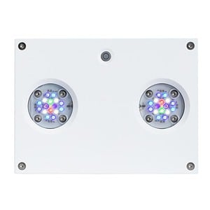 Hydra 32 HD White