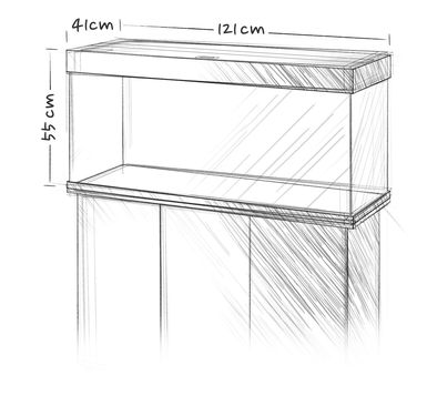 Juwel Rio 240 LED Aquarium Black - Image 8