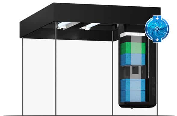 Juwel Lido 200 LED Aquarium Black - Image 6