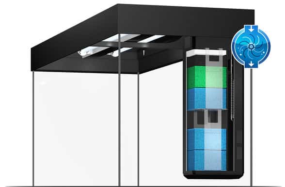 Juwel Rio 240 LED Aquarium White - Image 5