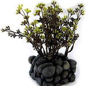 Fluval Chi Aquarium Plant with Pebble Base Ornament