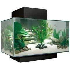 Fluval EDGE 2.0 LED Aquarium  23L