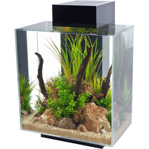 Fluval EDGE 2.0 LED Aquarium 46L