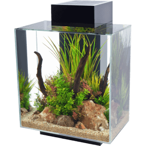 Fluval EDGE 2.0 LED Aquarium 46L