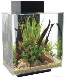 Fluval EDGE 2.0 LED Aquarium 46L - Image 2