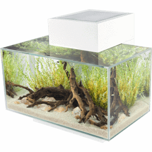 Fluval EDGE 2.0 LED Aquarium  23L - Image 3