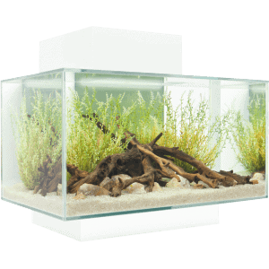 Fluval EDGE 2.0 LED Aquarium  23L - Image 4