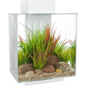 Fluval EDGE 2.0 LED Aquarium 46L - Image 4
