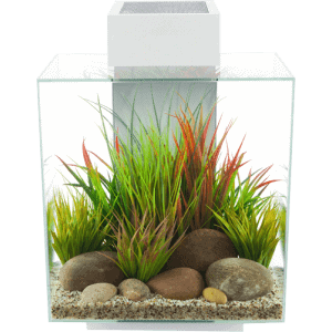 Fluval EDGE 2.0 LED Aquarium 46L - Image 5