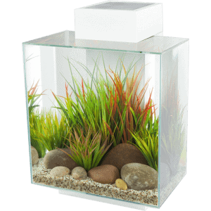 Fluval EDGE 2.0 LED Aquarium 46L - Image 6
