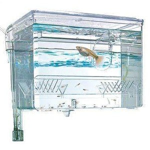 Fluval HangOn Breeding Box