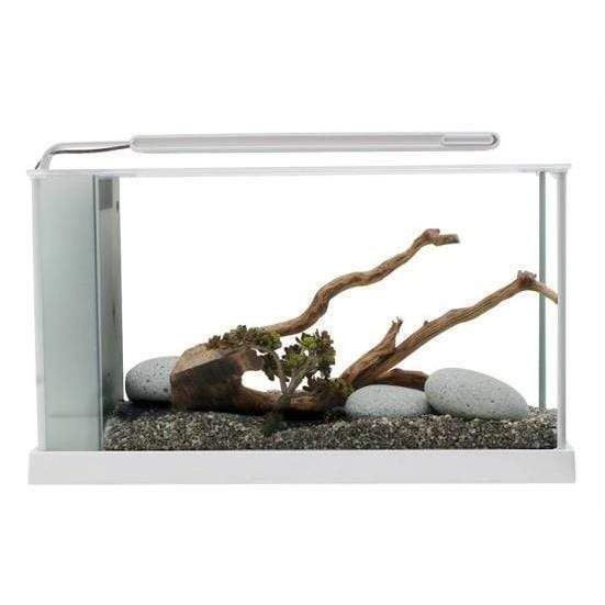 Fluval Spec 5 V2 Aquarium Kit 19L - Image 2