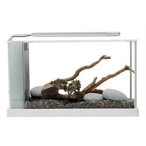 Fluval Spec 5 V2 Aquarium Kit 19L