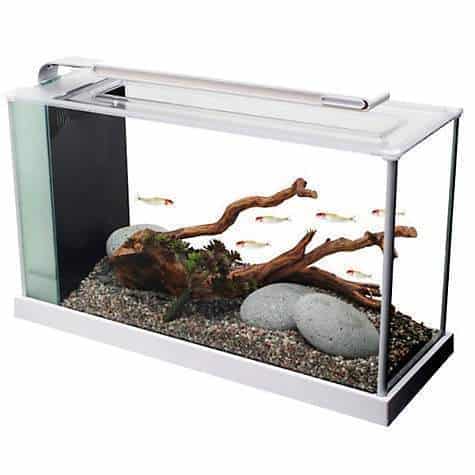 Fluval Spec 5 V2 Aquarium Kit 19L - Image 4