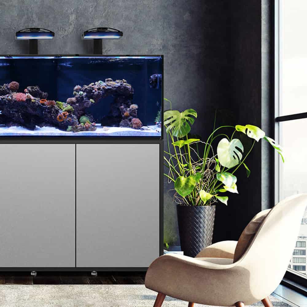 Waterbox Infinia
