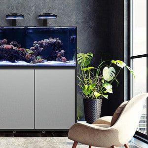 Waterbox Infinia