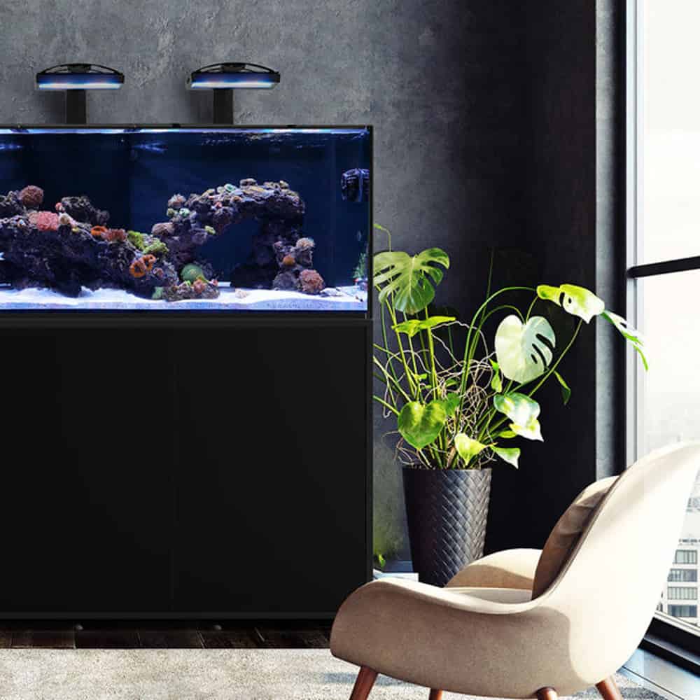 Waterbox Infinia - Image 2