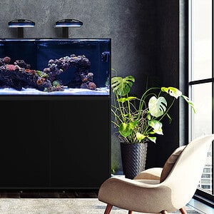 Waterbox Infinia