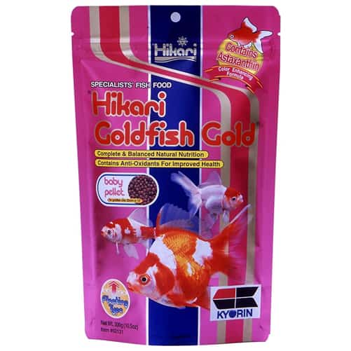 Goldfish Gold Baby