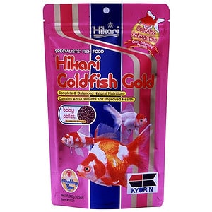 Goldfish Gold Baby