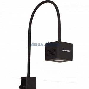 Qube 50