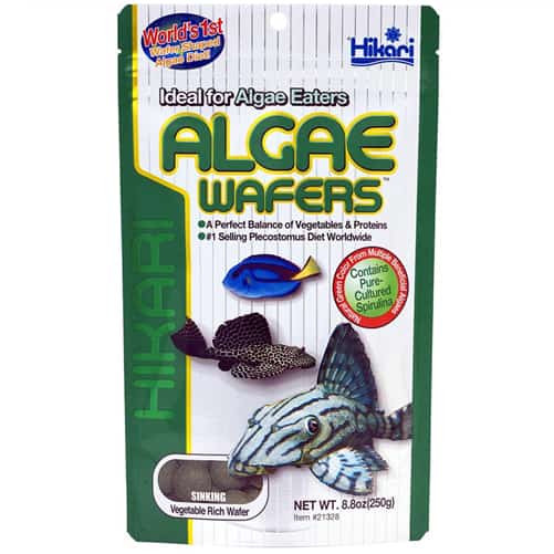 Algae Wafers