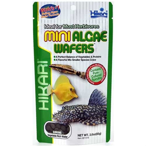 Mini Algae Wafers