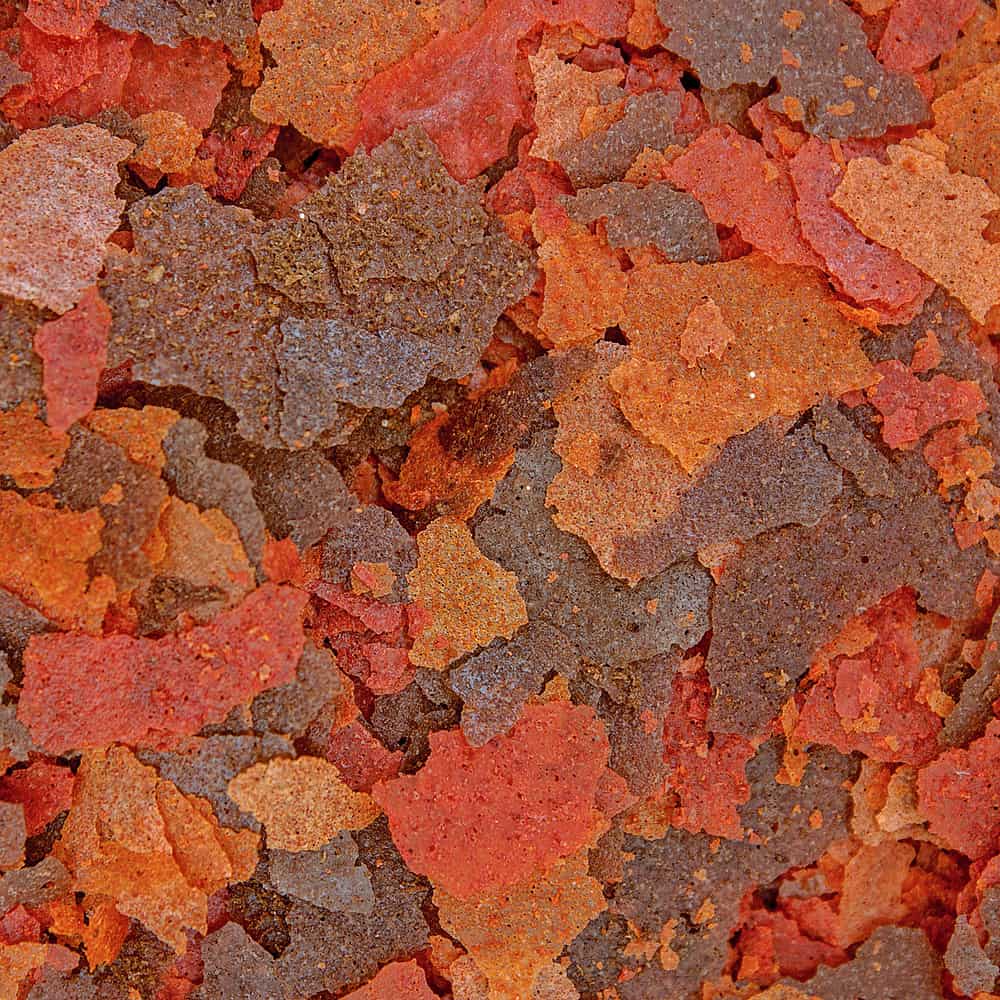 BRINE SHRIMP PLUS FLAKES - Image 2