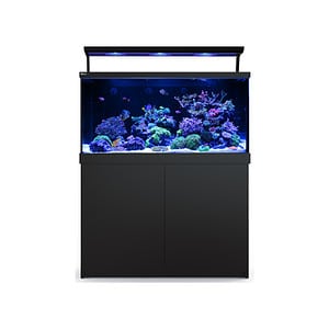 Red Sea MAX S650