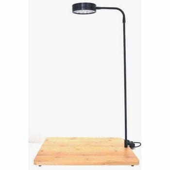 Bioscape LED Landscape Bamboo 7w