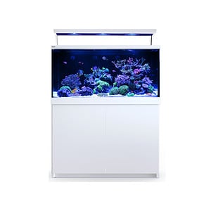 Red Sea MAX S500
