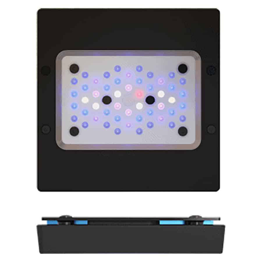 Ecotech Radion XR15 Gen 6 Blue Light