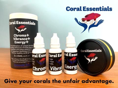 CORAL ESSENTIALS BLACK LABEL TRIPLE PACK 15ML - Image 2