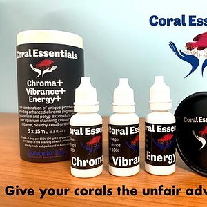 CORAL ESSENTIALS BLACK LABEL TRIPLE PACK 15ML