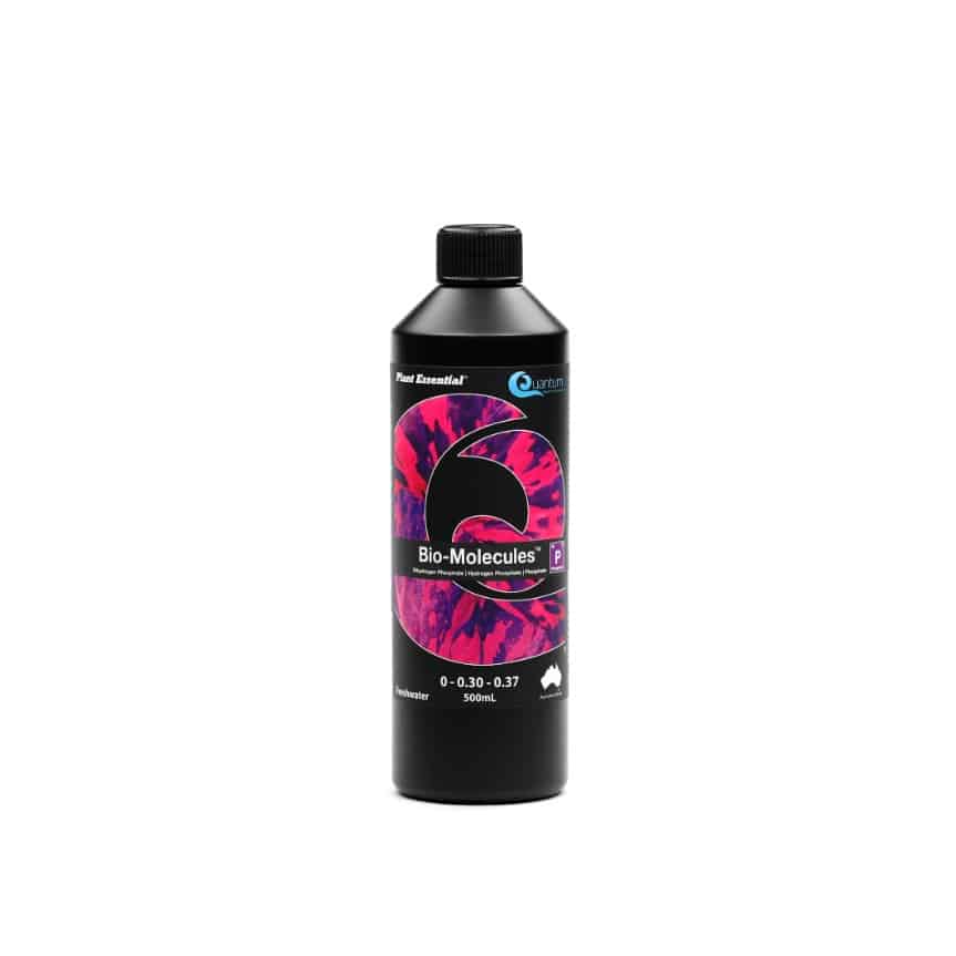 Bio-Molecules - 500mL