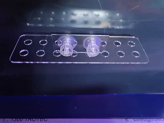 16 Hole Frag Rack Clear