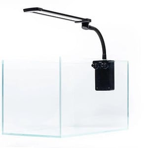 Dymax Flexz 5 Clip Light Ultra Thin 5mm