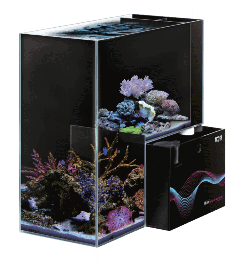 Dymax IQ9 Mini Drop Off Aquarium 48L Marine