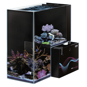Dymax IQ9 Mini Drop Off Aquarium 48L Marine
