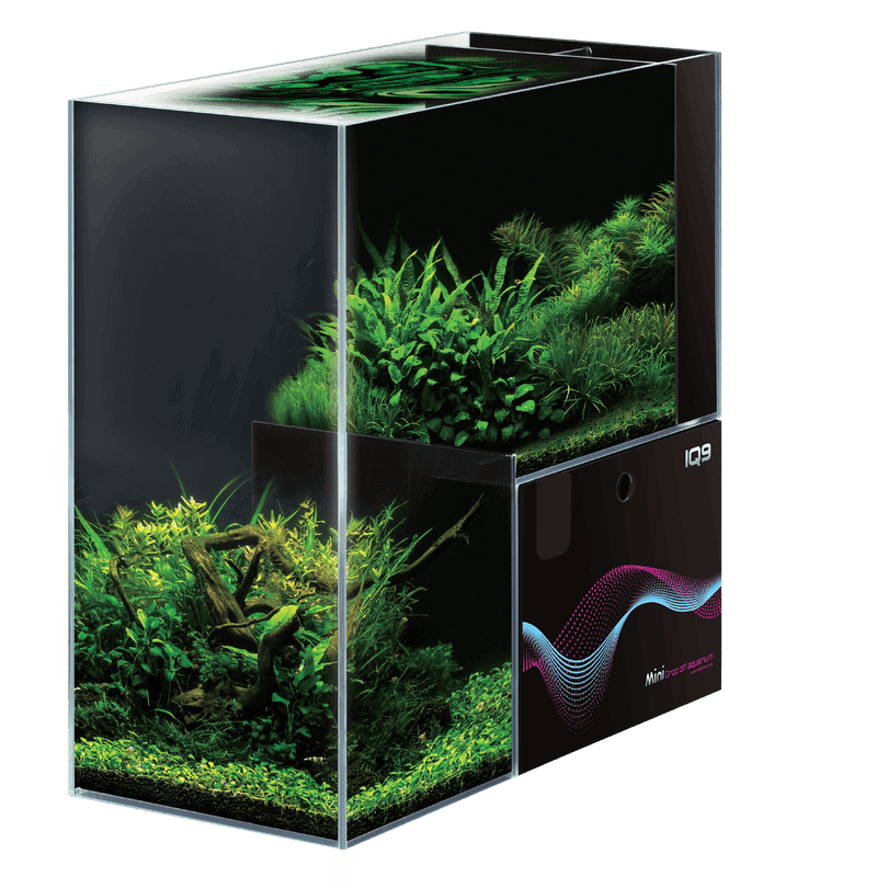Dymax IQ9 Mini Drop Off Aquarium 48L Freshwater