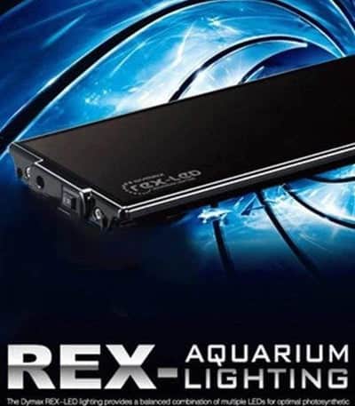 Dymax REX LED Freshwater Pink & White - Image 3