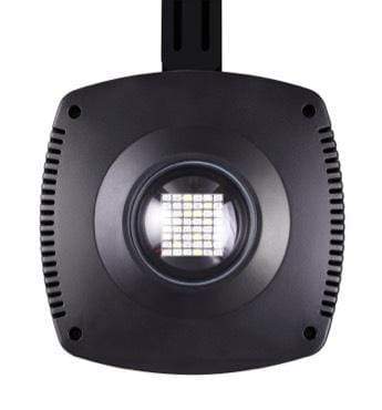 Dymax Specex Fauna LED Freshwater - Image 4