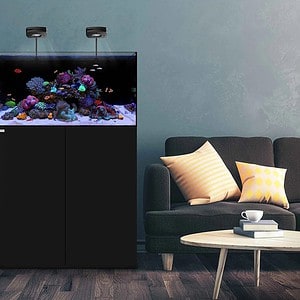 Waterbox AIO Series