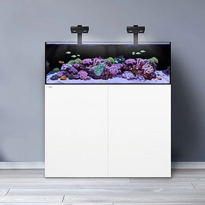 Waterbox Platinum Frag Series