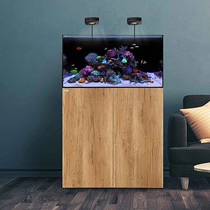 Waterbox AIO Series
