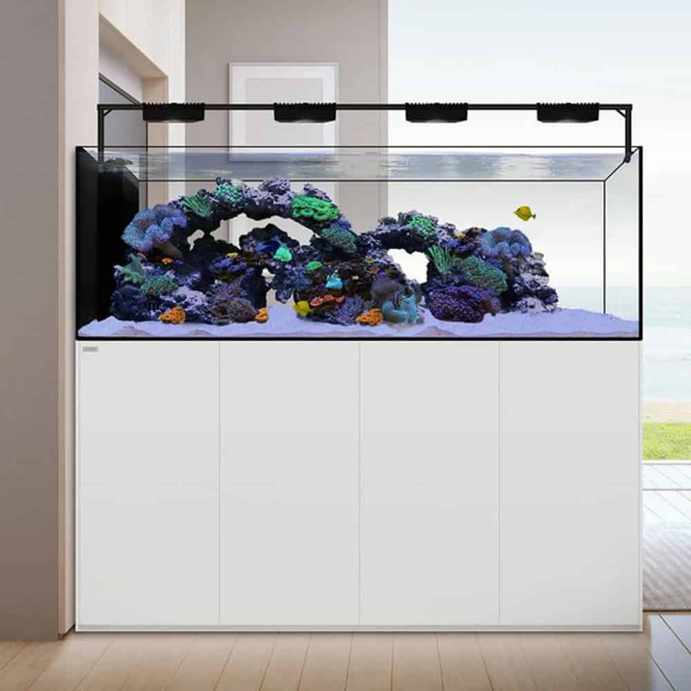 Waterbox Peninsula - Image 2